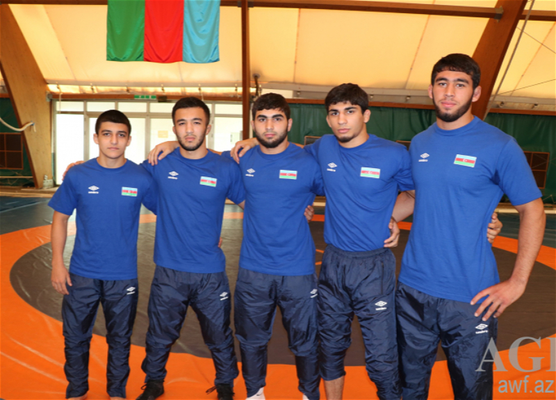 Азербайджанский борец победил армянского спортсмена на чемпионате Европы