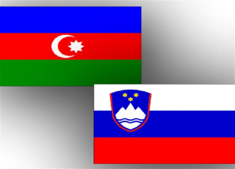 Баку и Любляна провели политические консультации