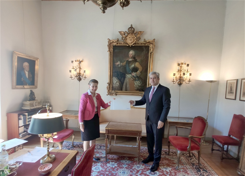 Азербайджан и Швеция отмечают перспективы развития сотрудничества по ряду направлений - ФОТО