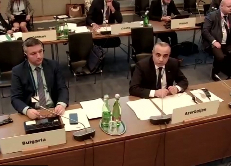 Азербайджан поддержал Турцию при рассмотрении подготовленной США резолюции в ПА ОБСЕ