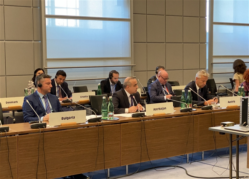 Азербайджан призвал ПА ОБСЕ к поддержке решения вопросов посконфликтного периода