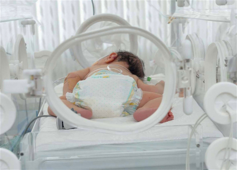 Новорожденную девочку бросили в мусорку в Сумгайыте - ВИДЕО