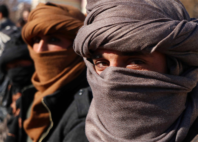 Делегация движения «Талибан» находится в Москве