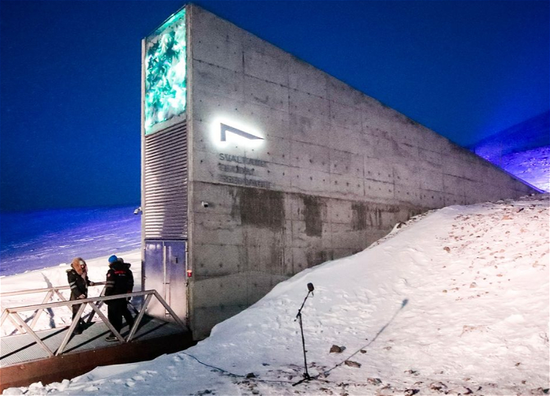 На Шпицбергене построят «Хранилище судного дня» для музыки