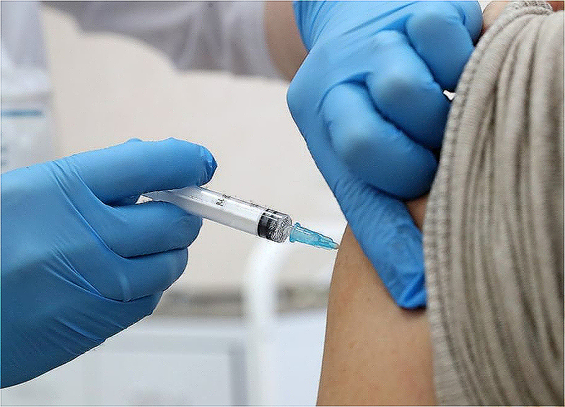Обнародовано число вакцинированных в Азербайджане от COVID-19