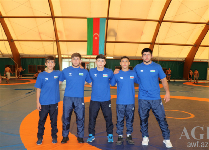 Два азербайджанских борца одолели армян на чемпионате мира