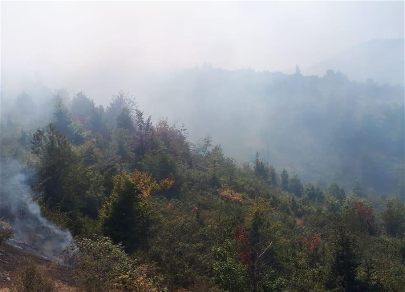 МЧС потушил пожар на заминированной территории в Ходжавендском районе - ВИДЕО