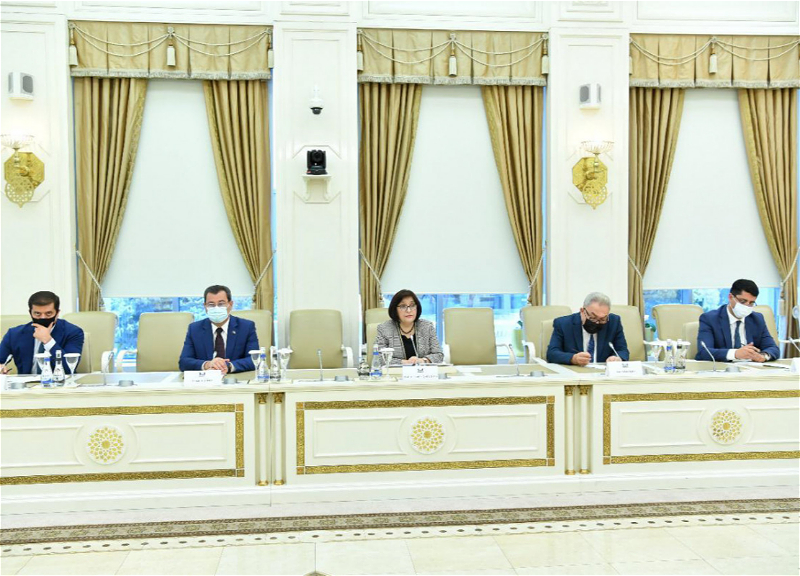 Спикер Милли Меджлиса докладчику ПАСЕ: «Мы хотим, чтобы в СЕ был объективный подход к Азербайджану» - ФОТО