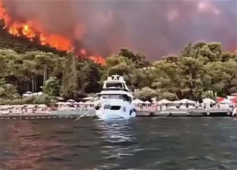 На турецких курортах Бодрум и Дидим вспыхнули пожары - ФОТО - ВИДЕО