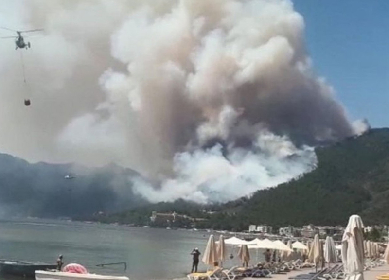 В Турции расследуют причины лесных пожаров, виновные понесут наказание, заявили в Анкаре