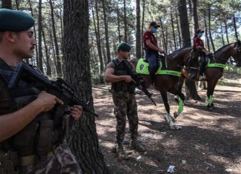 В Турции введен временный запрет на посещение лесов