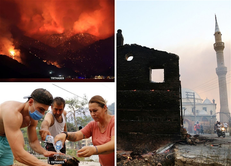 Пожары в Турции: Стихийное бедствие или подлый саботаж? - ФОТО - ВИДЕО