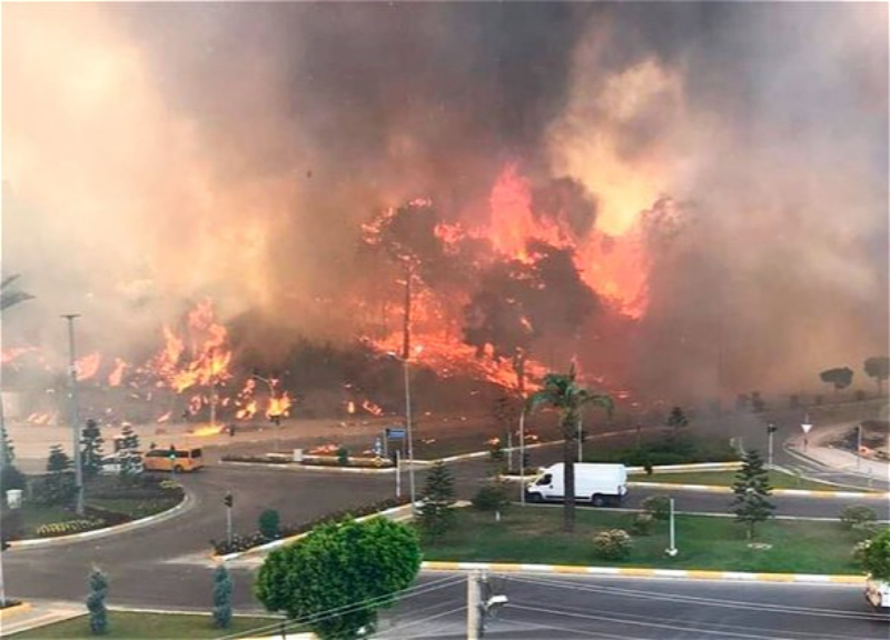 Эрдоган объявил пострадавшие от лесных пожаров регионы Турции зоной бедствия