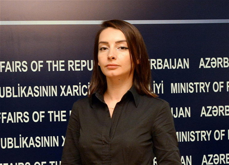 Лейла Абдуллаева: Армения все еще предъявляет территориальные претензии к Азербайджану