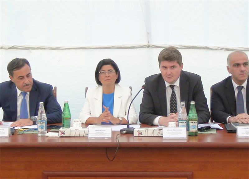 На совместном заседании рабочих групп Межведомственного центра в Гадруте обсуждена проделанная и предстоящая работа в Карабахе - ФОТО