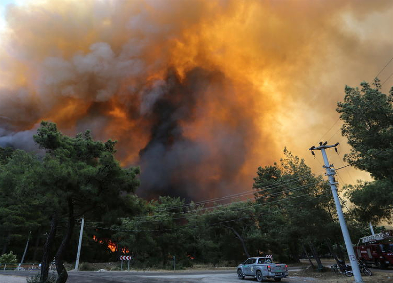 Ответственность за поджоги лесов в Турции взяла связанная с РПК организация