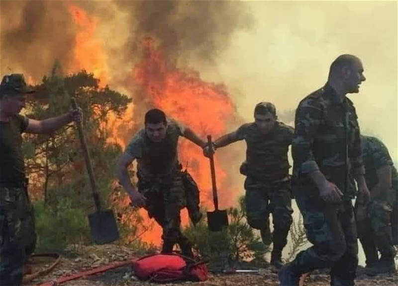 Азербайджанские пожарные в Турции: В самом эпицентре огненной стихии - ВИДЕО