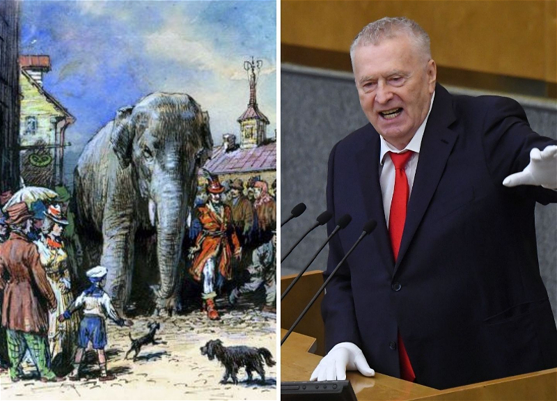 «Жириновщина» или басня Крылова «Слон и Моська: наши дни»