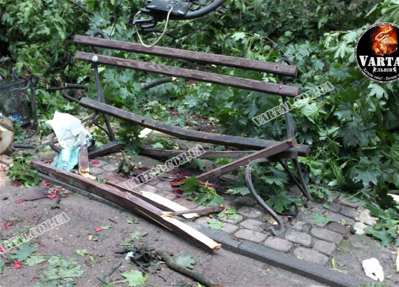В Украине из-за непогоды погибла влюбленная пара - на молодых людей упало дерево - ФОТО - ВИДЕО