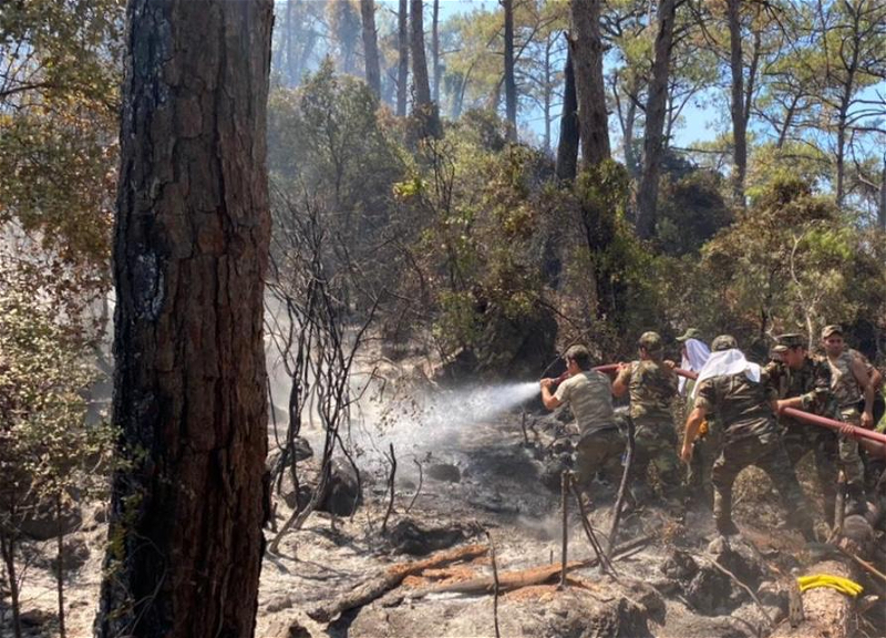 Азербайджанские пожарные продолжают бороться с лесными пожарами в Турции - ФОТО - ВИДЕО