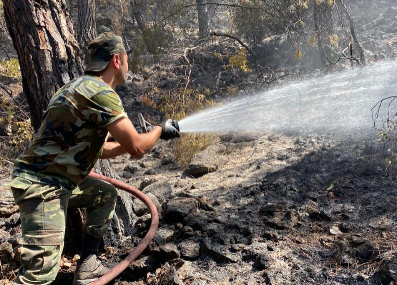 Пожарные МЧС Азербайджана продолжают тушить пожары в Турции – ФОТО – ВИДЕО