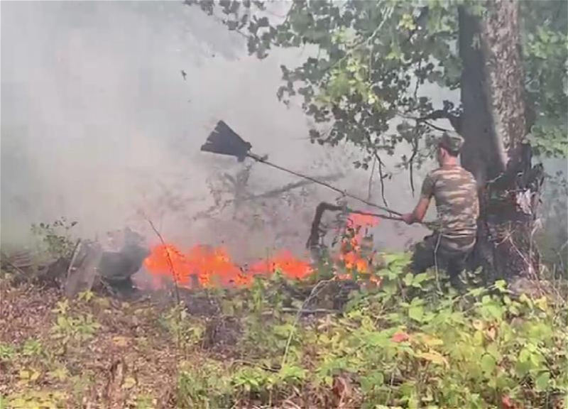 Из-за сложного рельефа при тушении пожара в Ярдымлинском лесу в основном используется ручной труд – ОБНОВЛЕНО - ВИДЕО