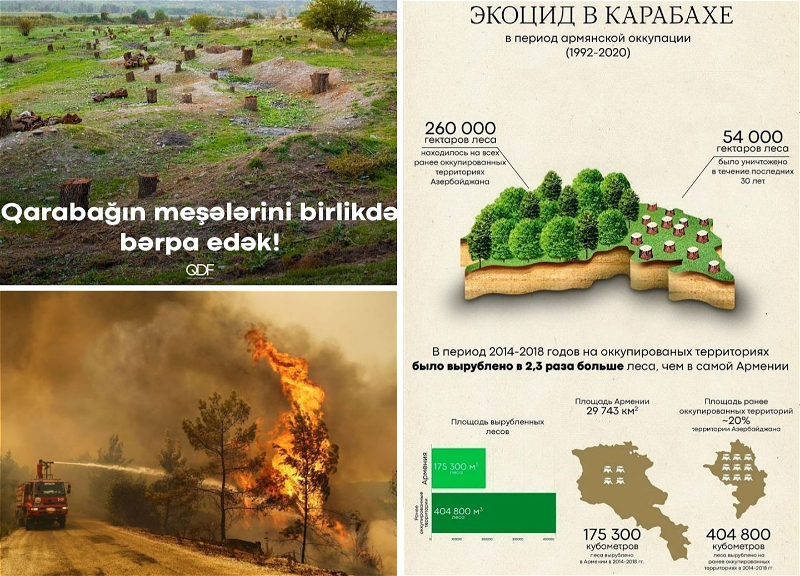 Назло экотерроризму. Возродим Карабах еще более зеленым!