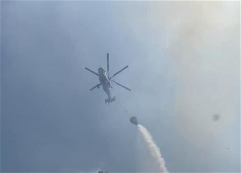 Лесной пожар в Лянкяране потушен, борьба с огнем в Ярдымлы продолжается - ВИДЕО - ОБНОВЛЕНО