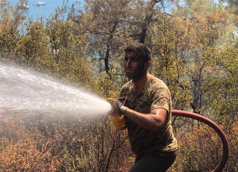 МЧС: в результате совместных усилий турецких и азербайджанских пожарных удалось победить стихию в Денизли – ФОТО – ВИДЕО
