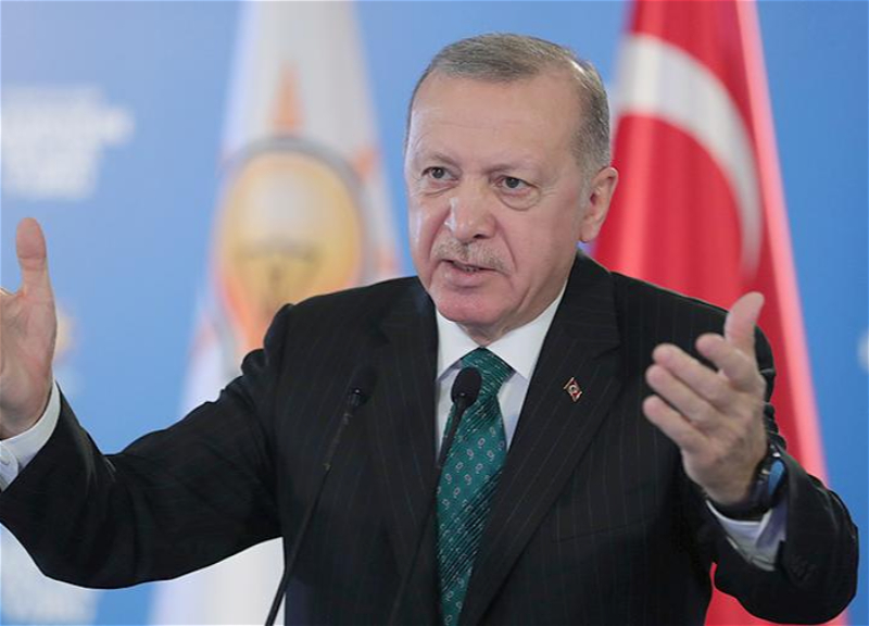 Эрдоган: Уважаемый Ильхам Алиев заявил о намерении отправить в Турцию самолет-амфибию для тушения пожаров – ВИДЕО