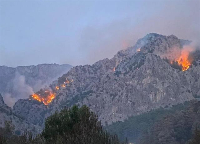 В Турции взято под контроль 168 пожаров в 33 провинциях - ФОТО