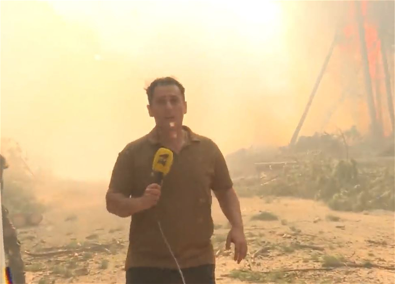Съемочная группа ITV оказалась в эпицентре лесного пожара в Турции - ВИДЕО
