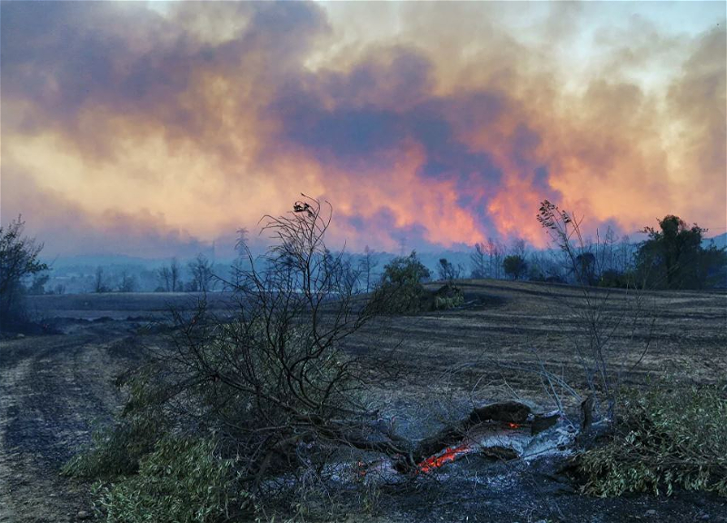 В Турции почти все лесные пожары взяты под контроль, борьба с огнем продолжается в двух районах - Министр