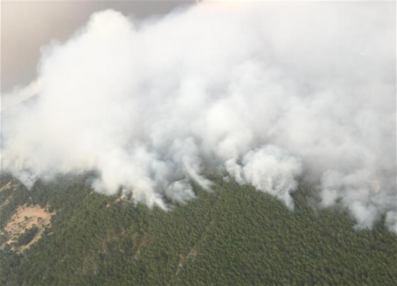 В Турции взяты под контроль 235 лесных пожаров, в Мугле продолжается борьба с огнем - ФОТО