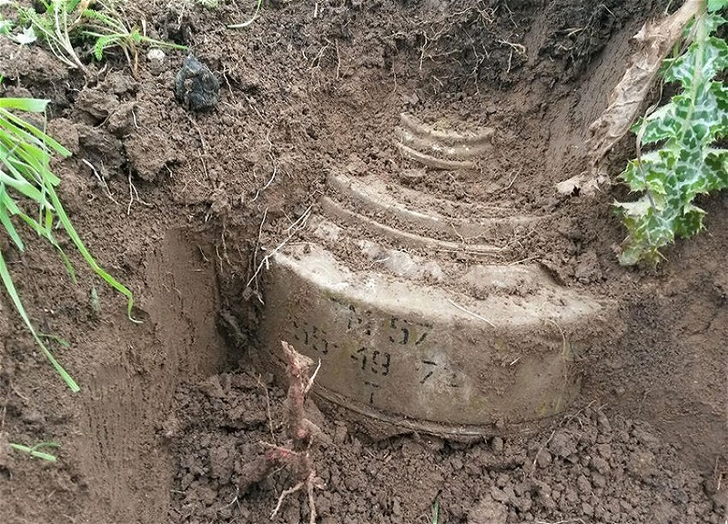 Ermənistanın Xocavənddə basdırdığı mina partlayıb, iki erməni yaralanıb