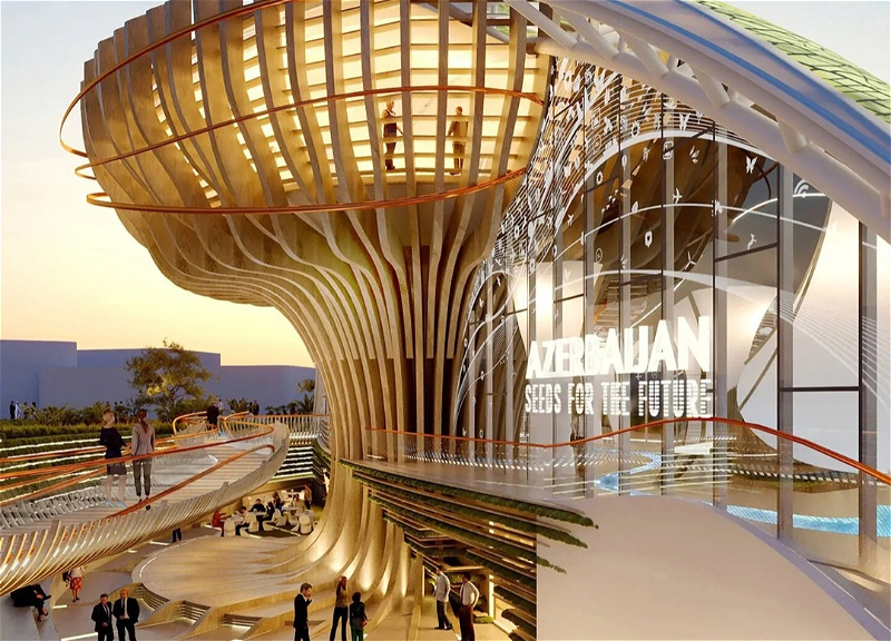 Дерево жизни: Таким будет национальный павильон Азербайджана на Expo в Дубае – ФОТО