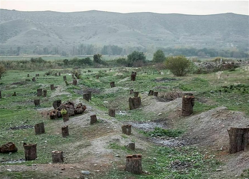 Материалы об экоущербе от армянской оккупации направлены в Генпрокуратуру Азербайджана