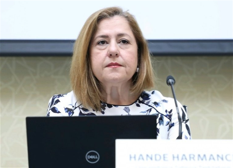 Qrip mövsümünün başlaması epidemioloji vəziyyətə yaxşı təsir edə bilər - Hande Harmancı