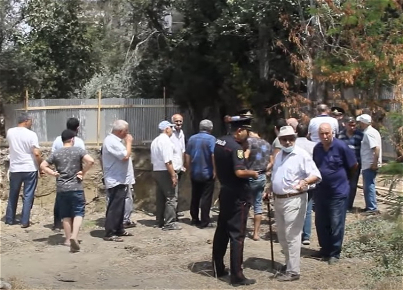 Tikinti şirkəti ilə sakinlər arasında qarşıdurma: Bakının mərkəzində ağaclar niyə məhv edilir? - ARAŞDIRMA