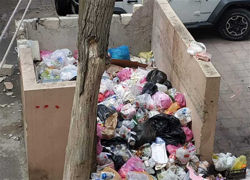 «Во дворе стоит вонь и шныряют крысы…»: многострадальный дом в центре Баку вновь завален мусором – ФОТО – ВИДЕО