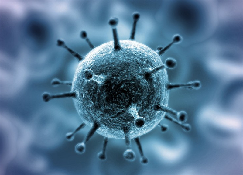В Турции обнаружены случаи заражения штаммом «мю» коронавируса