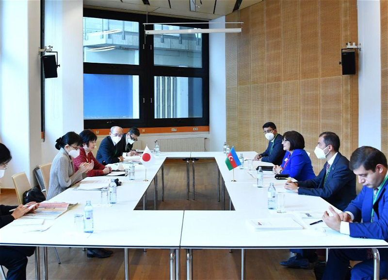 Сагиба Гафарова о заинтересованности Азербайджана в развитии связей с Японией – ФОТО