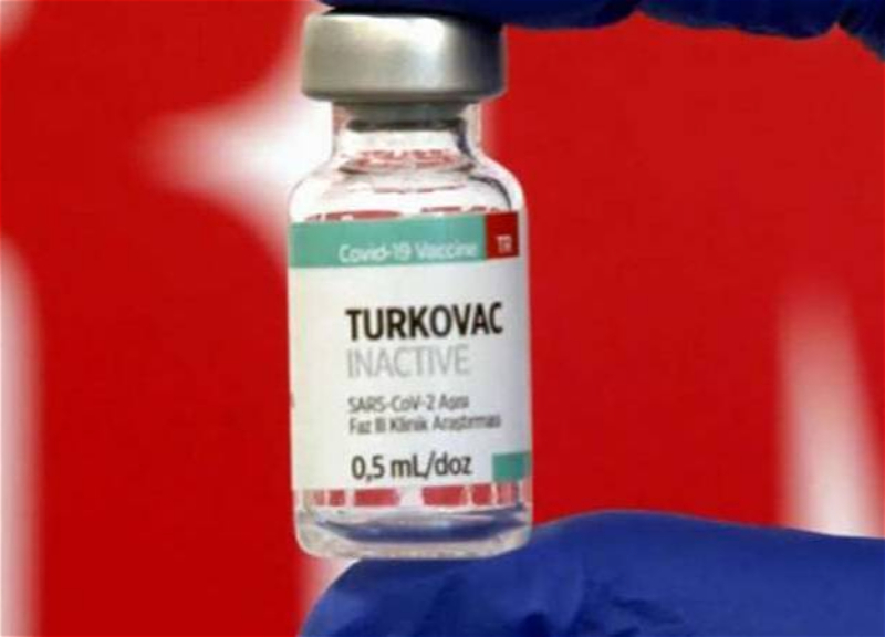 TƏBİB об испытаниях вакцины Turkovac в Азербайджане