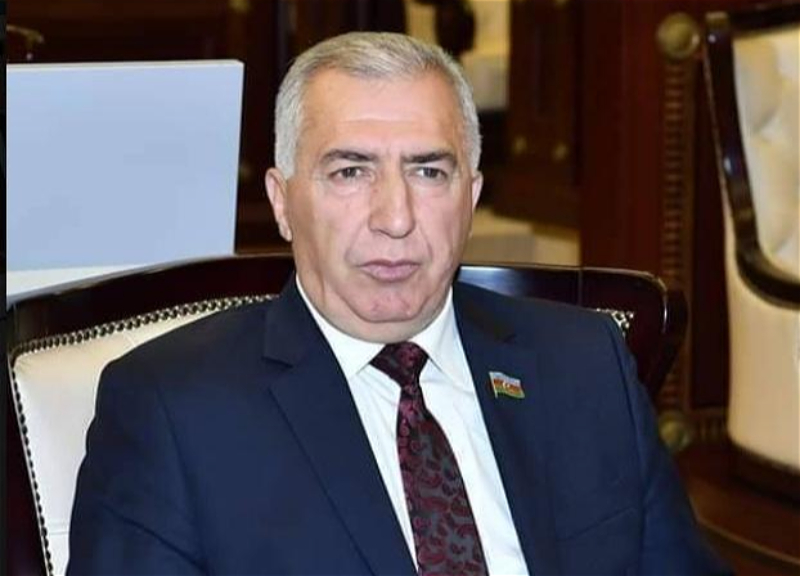 Deputat: “Prezidentin gərginlik yaşanan bölgələrə getməsi, Ermənistana bir mesajdır”