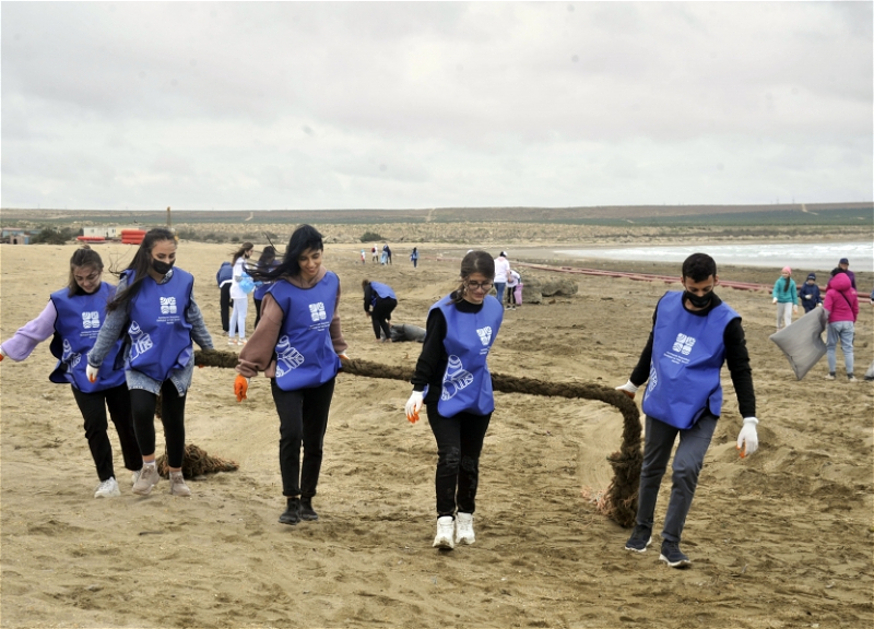 В ходе акции под девизом «Чистые берега» очищена от мусора территория площадью 6 гектаров - ФОТО