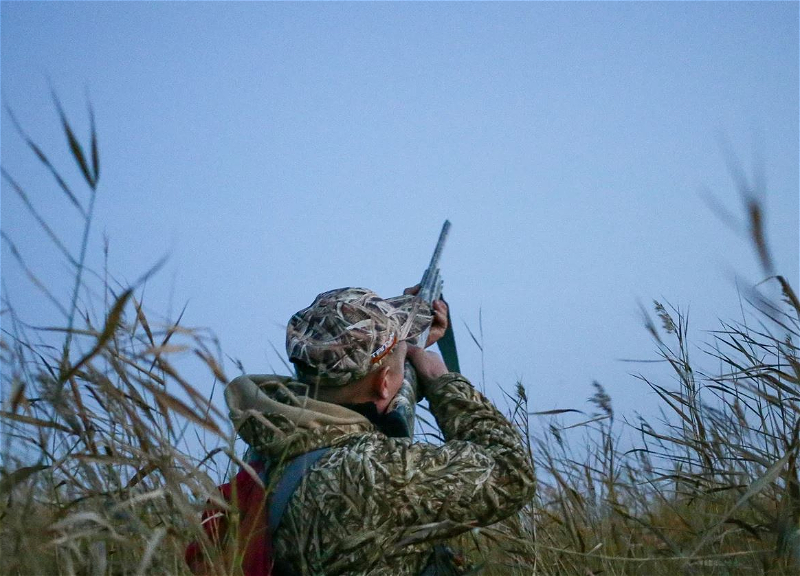 В Азербайджане открывается сезон охоты