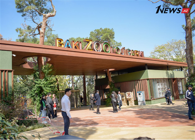 Репортаж: Бакинский зоопарк вновь принимает посетителей - ФОТО