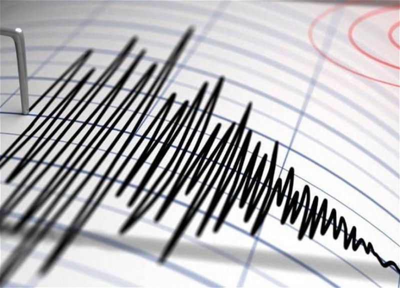 В Польше произошло землетрясение магнитудой 4,6