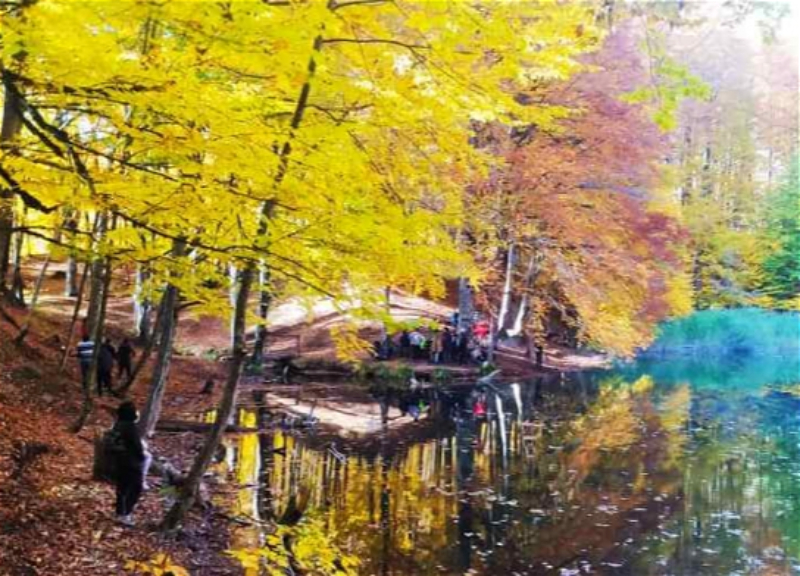 Яркие краски осени в национальных парках Азербайджана – ФОТО