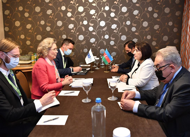 Сагиба Гафарова на встрече с председателем ПА ОБСЕ о начале нового этапа в жизни региона – ФОТО